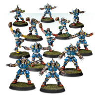 Reikland Reavers - Human Blood Bowl Team
