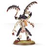 Tyranid lictor