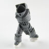 LEGION PRAETORS bits - body 2