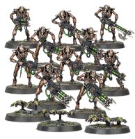 	 Indomitus Necrons Warriors 