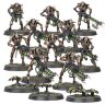 	 Indomitus Necrons Warriors 