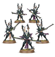 Dark Eldar Incubi 