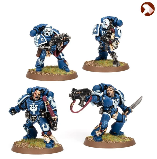 Tyrannic War Veterans 