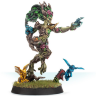 Blood Bowl Willow Rosebark