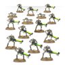 Necron Warriors with Canoptek Scarabs