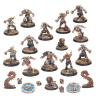 Norse Blood Bowl Team: Norsca Rampagers 