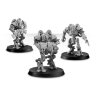 MECHANICUM THALLAX COHORT WITH MULTI-MELTA 