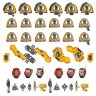 Imperial Fists Primaris Upgrades and Transfers 