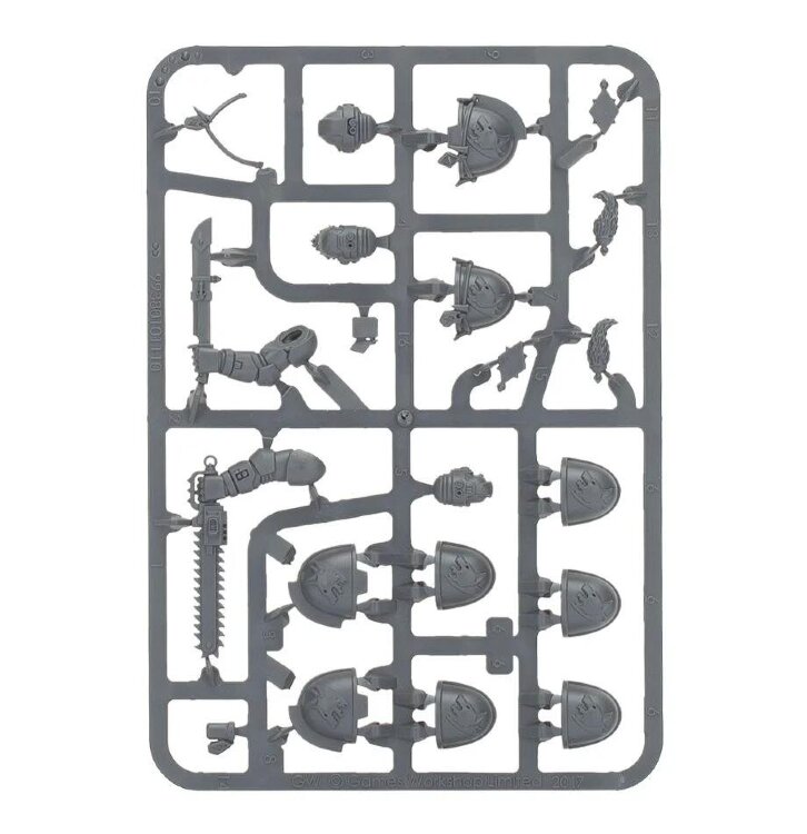 	 Space Wolves Primaris Upgrade Frames 