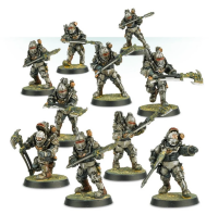 Solar Auxilia Veletaris Storm Section with Power Axes