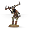 TAU Kroot Shaper (Resin) 
