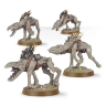 TAU Kroot Hounds 